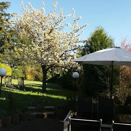 Gemütliche, Helle Im Luftkurort Dansenberg