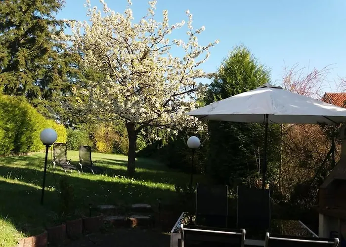 Gemuetliche, Helle Im Luftkurort Dansenberg